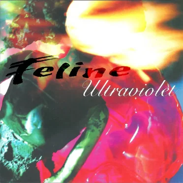 Feline