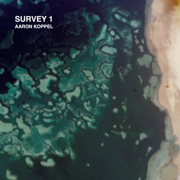 Survey 1 by Aaron Koppel - album cover