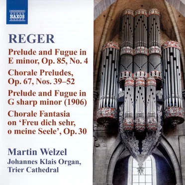 Organ Works, Volume 10