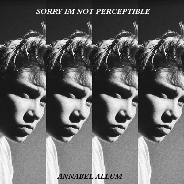 Sorry I’m Not Perceptible