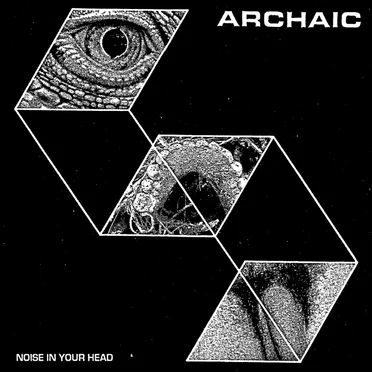 Noise in Your Head by Archaic - album cover