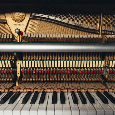 Reimagining Ravel in Abstract Colors (Intimate Piano Recital in the Darkroom)