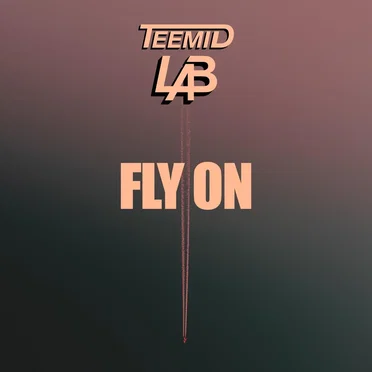 Fly On