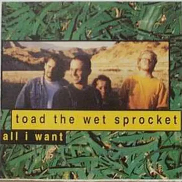 All I Want