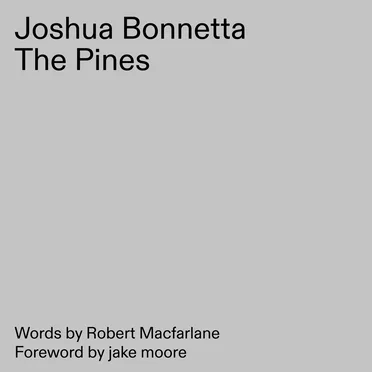 The Pines by Joshua Bonnetta - album cover