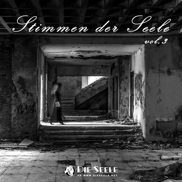 Stimmen der Seele Vol.3 by Various Artists - album cover