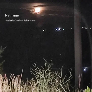 Sadistic Criminal Fake Show by Nathaniel - album cover