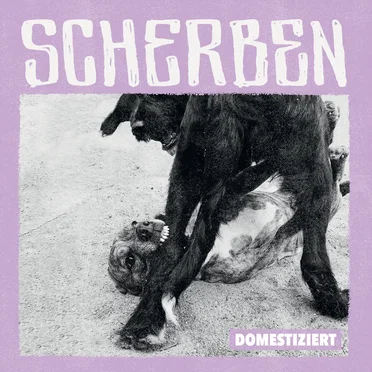 Domestiziert by Scherben - album cover
