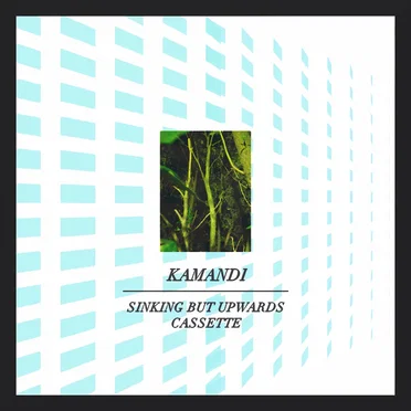 Sinking But Upwards Cassette