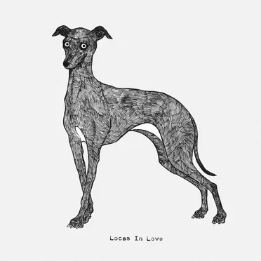 Use Your Illusion 3 & 4 by Locas in Love - album cover