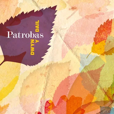 Dwyn y Dail by Patrobas - album cover