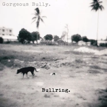 Bullring