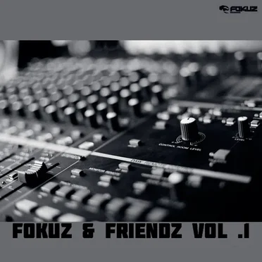 Fokuz & Friendz, Volume 1 by Various Artists - album cover