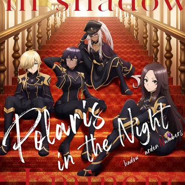 Polaris in the Night by シャドウガーデンナンバーズ - album cover