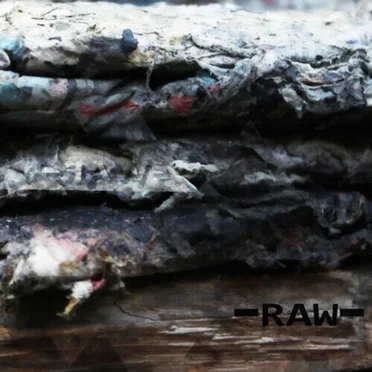 Raw by Cyesm - album cover