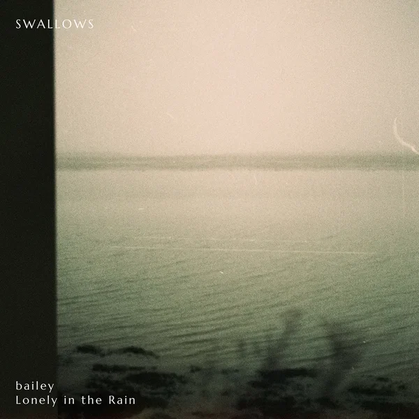Swallows