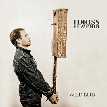 Wild Birds by Idriss El Mehdi - album cover