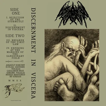 Discernment in Viscera by Assault Sorcery - album cover