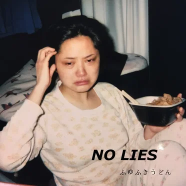 NO LIES by ふゆふきうどん - album cover