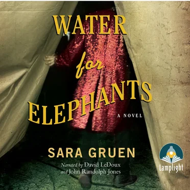Water for Elephants by Sara Gruen - album cover