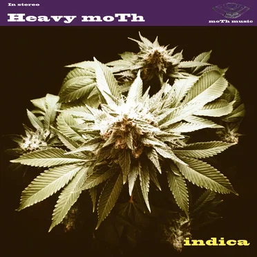 Indica by Heavy MoTh - album cover