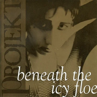 Beneath The Icy Floe – Projekt Record's Sampler by Various Artists - album cover