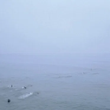 The Sky's Run Into the Sea