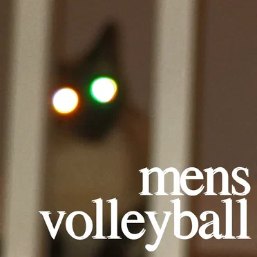outside hitter (demo tape)
