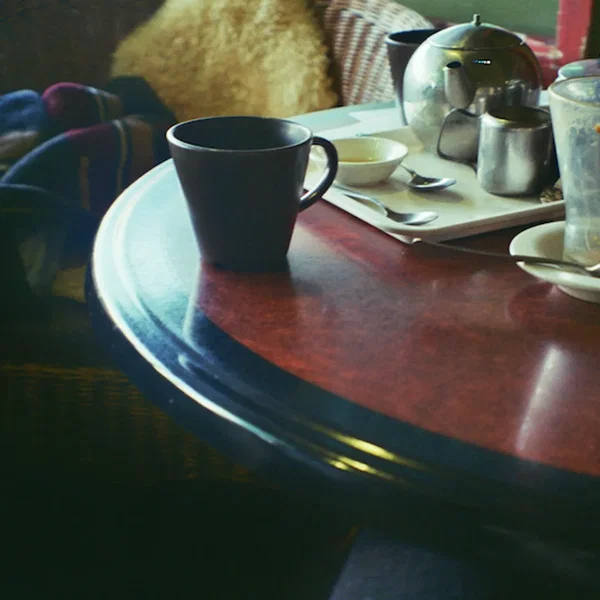 Casimir Pulaski Day