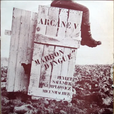 Marron Dingue by Arcane V - album cover