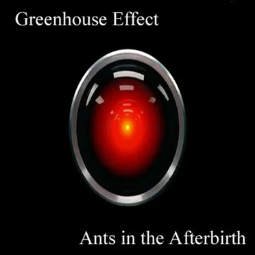 Ants in the Afterbirth