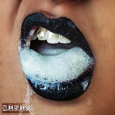 When It Sucks It’s Sad by Goya - album cover