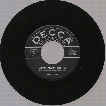 Where Flamingos Fly / The Gypsy with Fire in His Shoes