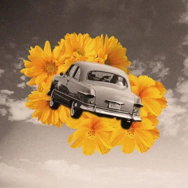 Drive by President Elect - album cover