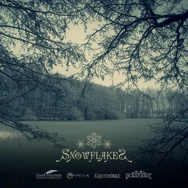 Snowflakes I by Various Artists - album cover