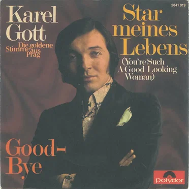 Star meines Lebens (You're Such a Good Looking Woman) / Good-Bye