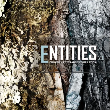 Entities 2 by Various Artists - album cover