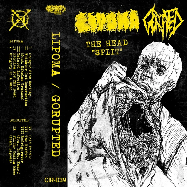 The Head "Split"