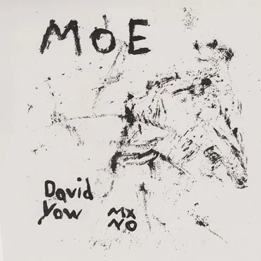 David Yow