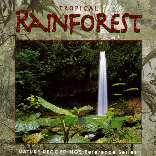 Tropical Rainforest