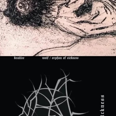 wolf/orphan