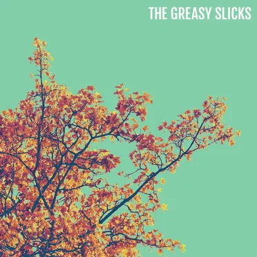 The Greasy Slicks by The Greasy Slicks - album cover