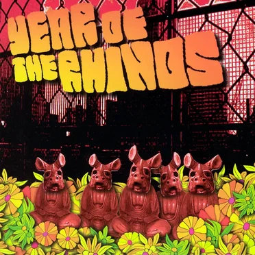 Year of the Rhinos