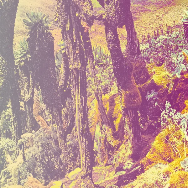 Assemblée, relâche, réjouissance, parade