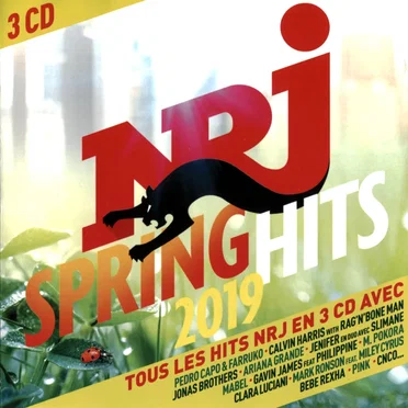 NRJ Spring Hits 2019 by Various Artists - album cover