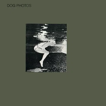 Dog Photos