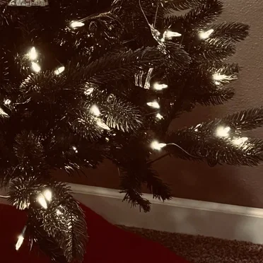 Leave the Christmas Light Up