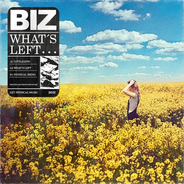 What's Left by Biz - album cover