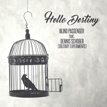 Hello Destiny
