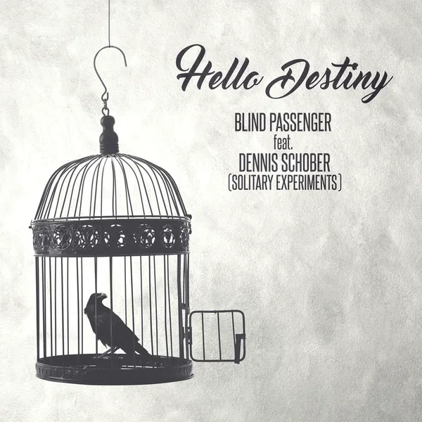 Hello Destiny